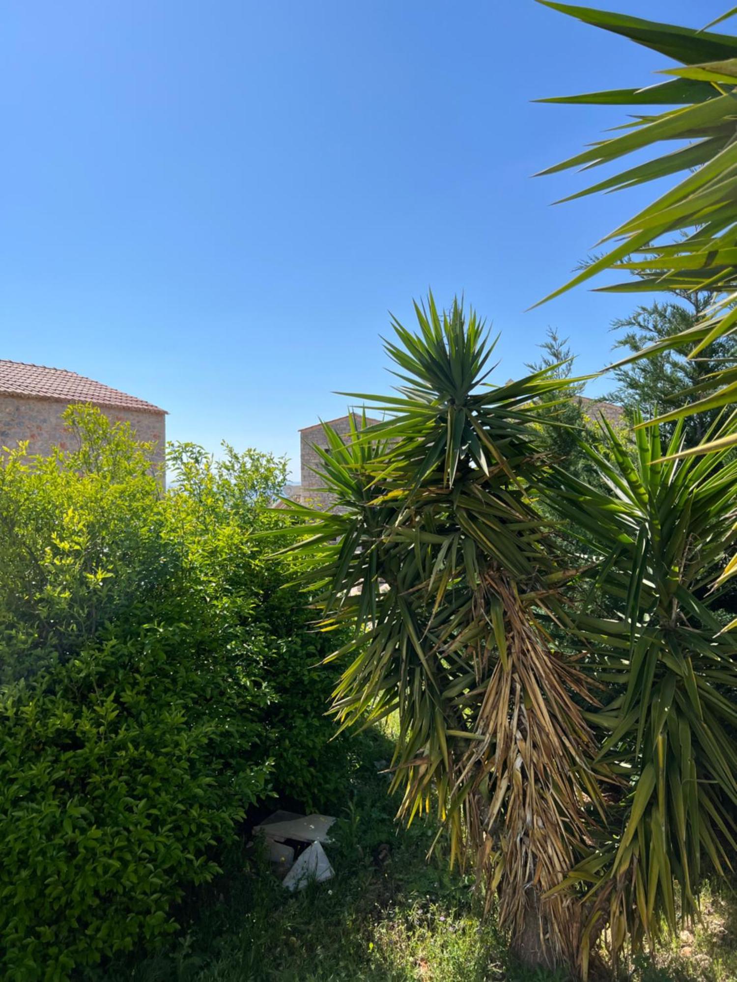 Koukouri Village Kafiona Esterno foto