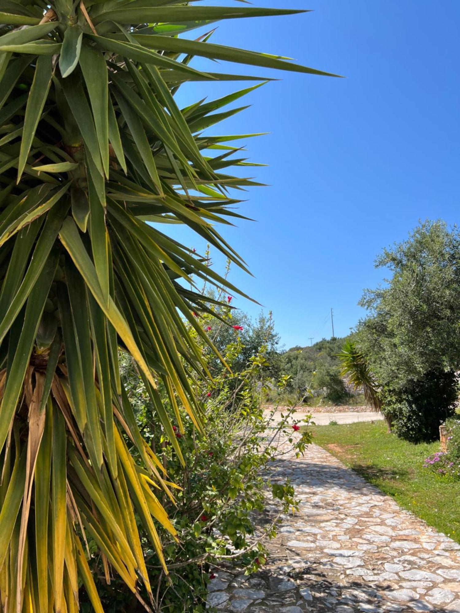 Koukouri Village Kafiona Esterno foto