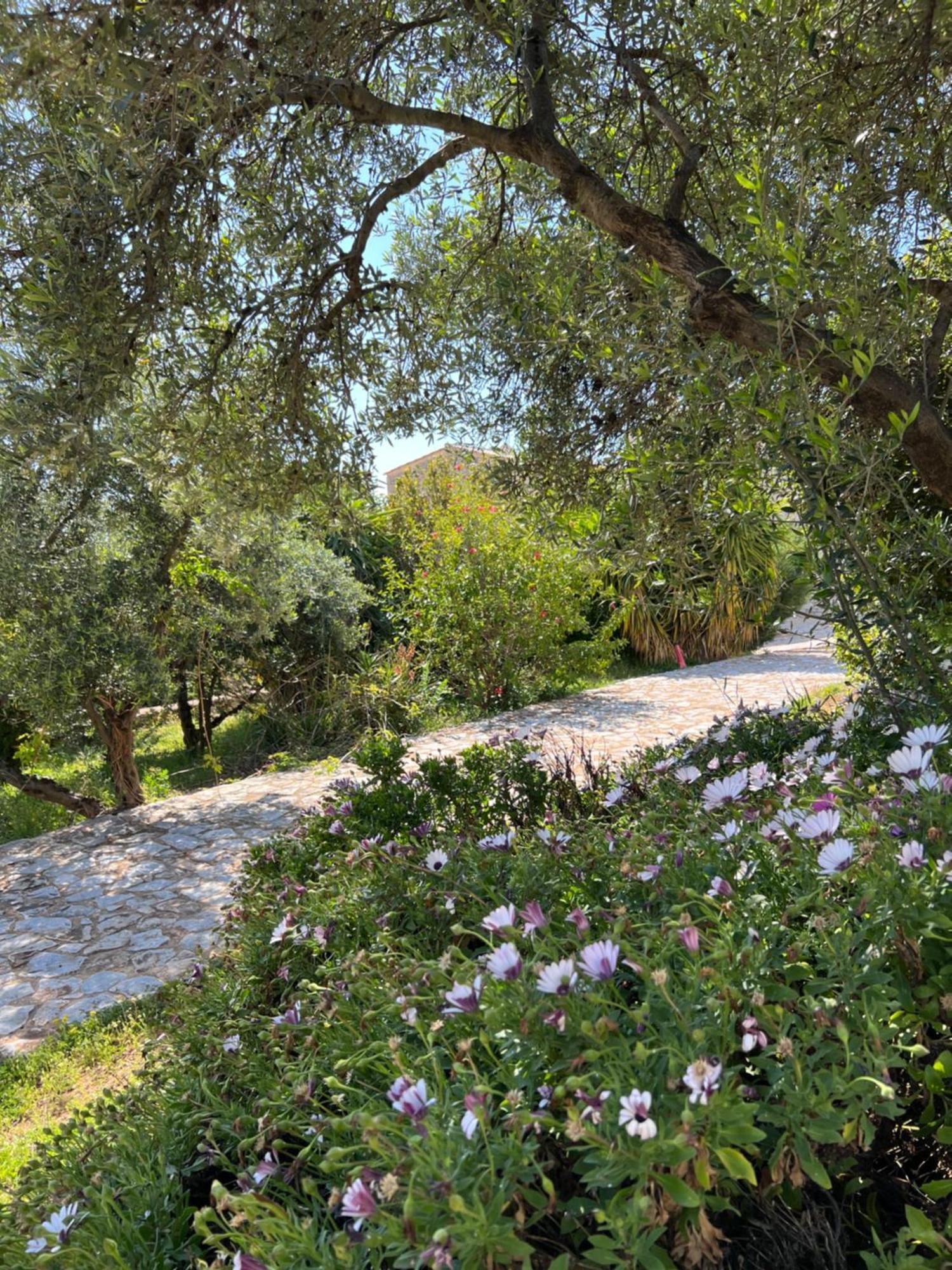 Koukouri Village Kafiona Esterno foto